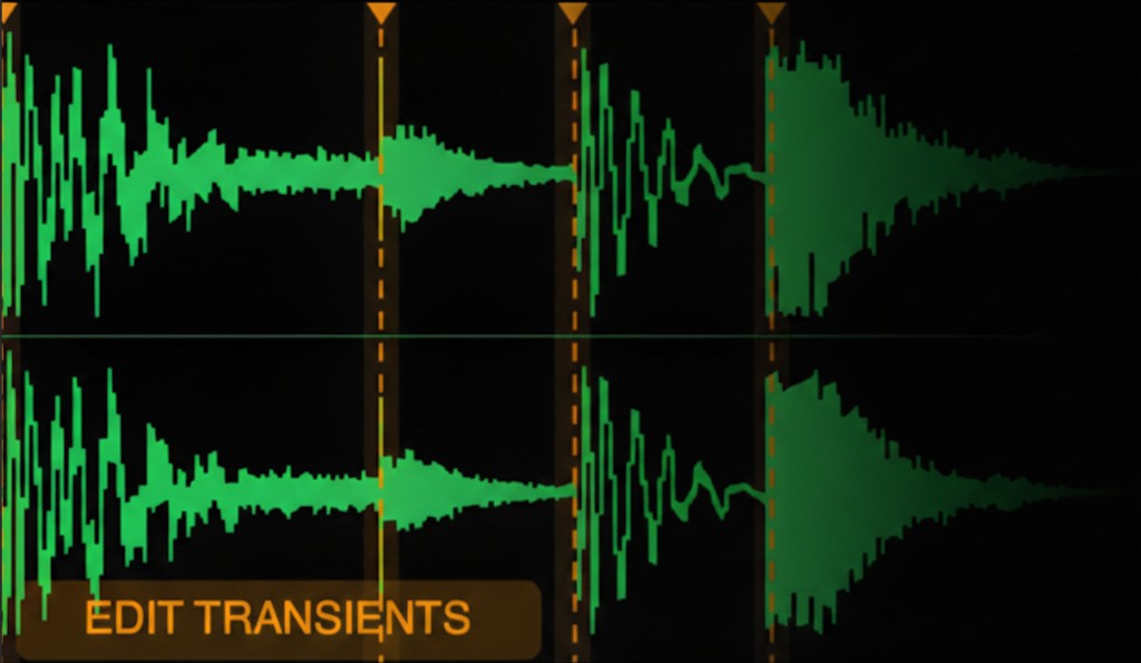 Sample Manager — waveform editor with transient markers